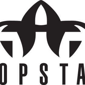Logo TopStar